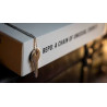 REPO: A CHAIN OF UNUSUAL EVENTS / tobias dostal