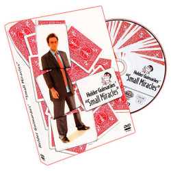 DVD Small Miracles / Helder...