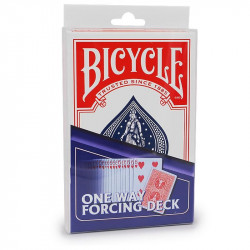 Bicycle BIG BOX -...