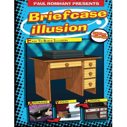 Briefcase Illusion - Paul...