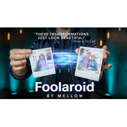 FOOLAROID - Lovestory Edition / Mellow
