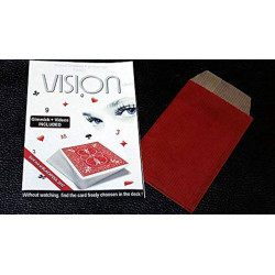 VISION / Mickael Chatelain