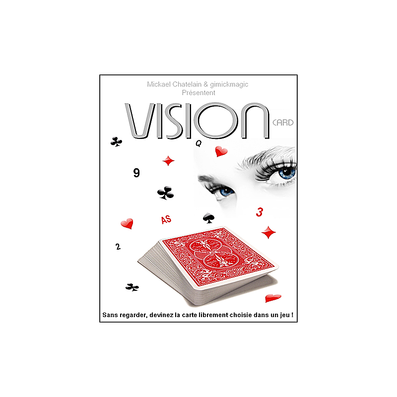 VISION / Mickael Chatelain